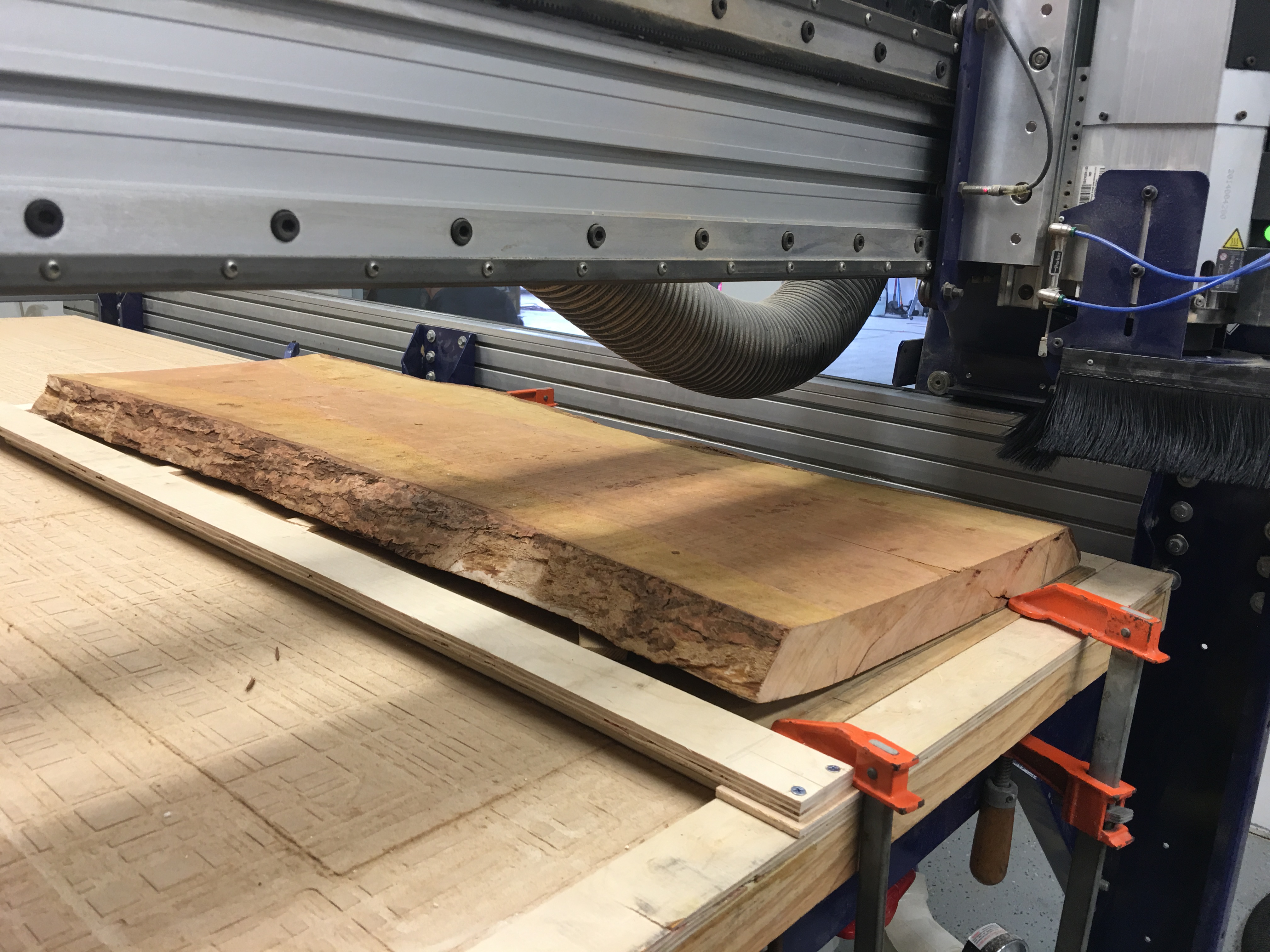 piece of live edge wood on cnc machine table.
